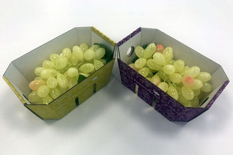 Smurfit Kappa desarrolla para un cliente una solucin sostenible y biodegradable de cartn ondulado para uvas