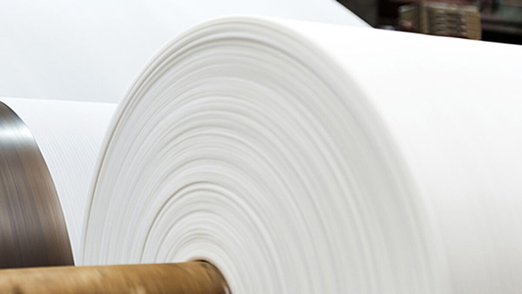 La industria papelera: no slo produce Pasta y Papel