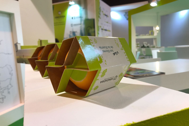 Perspectivas muy positivas para el Grupo Hinojosa en la campaña de invierno del sector agroalimentario