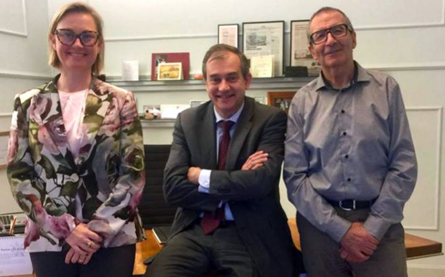 Iberboard Mill recupera -y arranca de nuevo- la única planta española de producción de cartón gráfico y para packaging de lujo