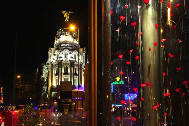 Alegres amapolas adornan las calles de Madrid