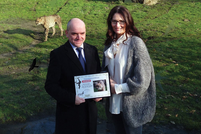 Xeikon colabora con el Zoo belga de Planckendael como patrocinador de los esfuerzos para la supervivencia del guepardo