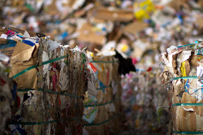 La recogida de papel para reciclar crece en 2015 (2,9%) por segundo ao consecutivo