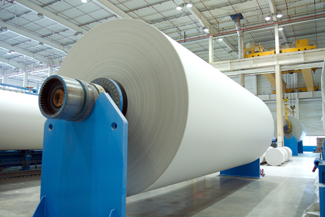 La industria papelera europea incrementar sus inversiones un 40% en su transicin a una bioeconoma baja en carbono