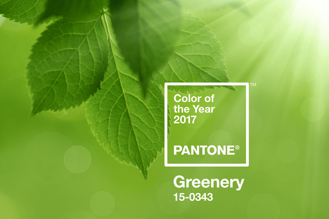 Greenery, color Pantone 2017