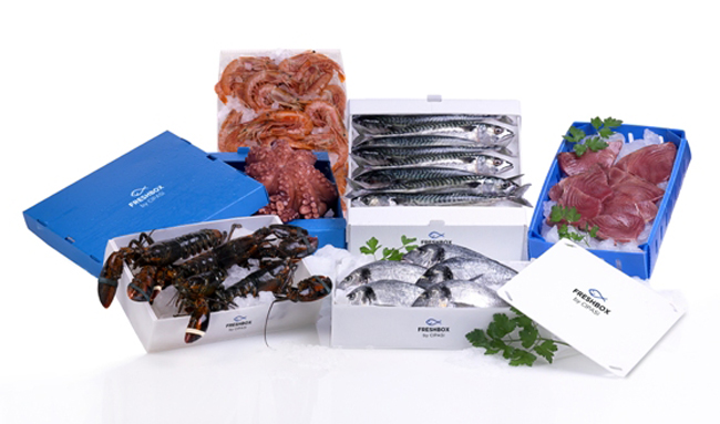 CIPASI revoluciona al sector pesquero gallego con su innovador envase Freshbox