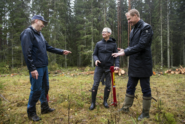 Tim Cook, de Apple, planta rboles en Iggesund y reconoce el enfoque climtico inteligente de Holmen