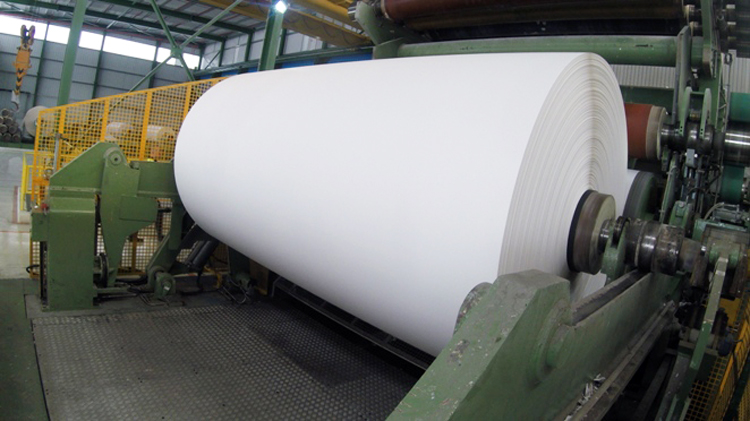 El 98% de la madera y el 70% del papel para reciclar que utiliza como materia prima la industria papelera espaola son de procedencia local