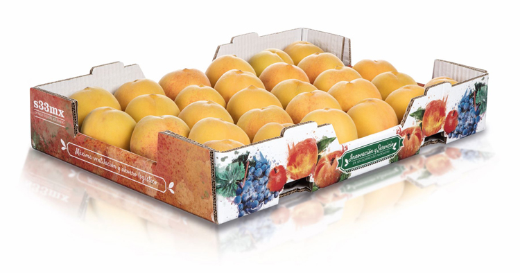 Las soluciones de packaging sostenibles para el sector agrcola centran la propuesta de Hinojosa para Fruit Attraction