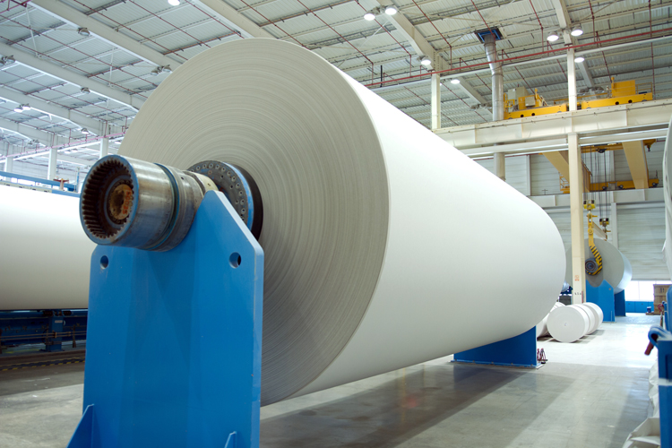 La tasa de reciclaje de la industria papelera espaola es del 74%, doce puntos por encima de la media europea