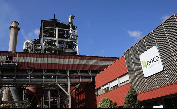 La biofábrica de Ence en Navia incrementa el empleo durante la crisis sanitaria
