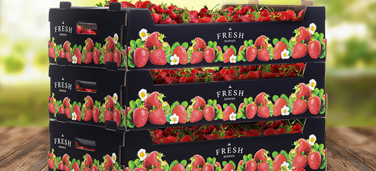 El nuevo packaging de cartón ondulado de Metsa Böard, complementa las fresas premium con impresión de alta calidad