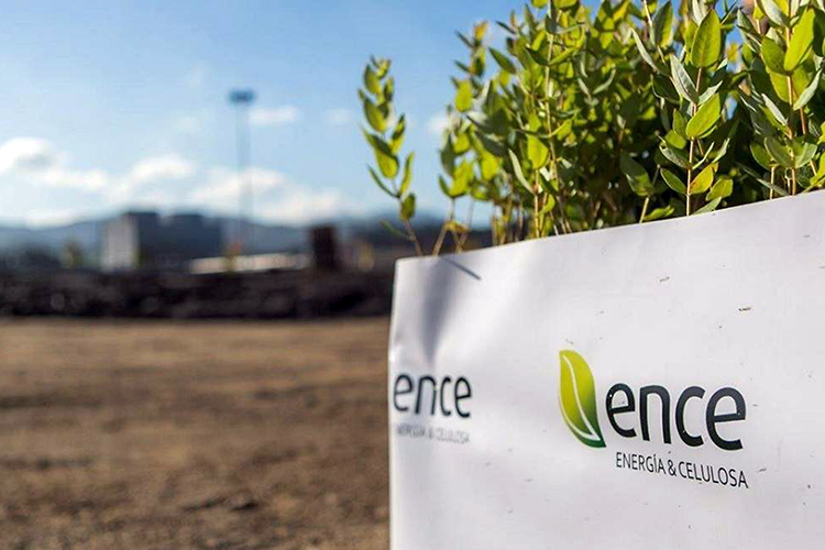 Ence ya ha cerrado acuerdos de venta para toda su producción de celulosa de 2023