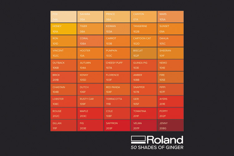 Roland DG crea el primer índice de color «50 tonos pelirrojos» con motivo del Día Mundial de las personas pelirrojas