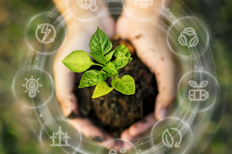 Esko presenta una capacidad integrada de clculo de carbono desarrollada en colaboracin con CarbonQuota