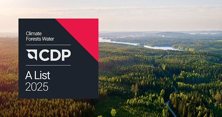 Mets� Board es la �nica empresa n�rdica que ha obtenido la calificaci�n Triple A de CDP por su liderazgo en transparencia y desempe�o ambiental