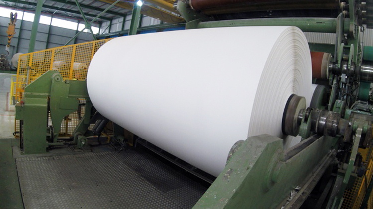 El 98% de la madera y el 70% del papel para reciclar que utiliza como materia prima la industria papelera española son de procedencia local