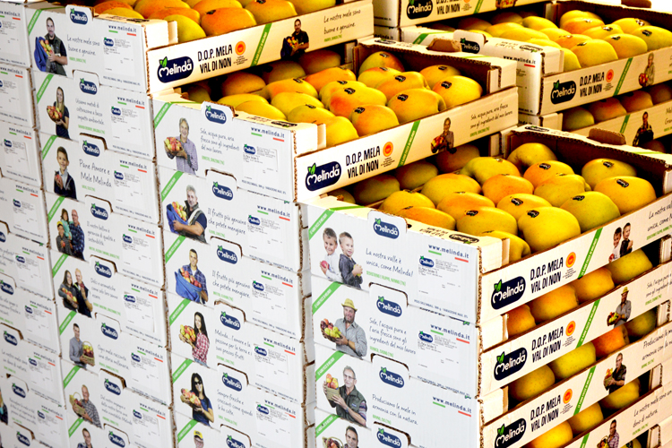 Melinda usa la HP PageWide para aprovechar el poder del packaging